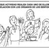 Anatomía x 40 Sellos - (Hasta agotar existencias)