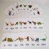 Flash Cards tarjetas de Dinosaurios ingles español